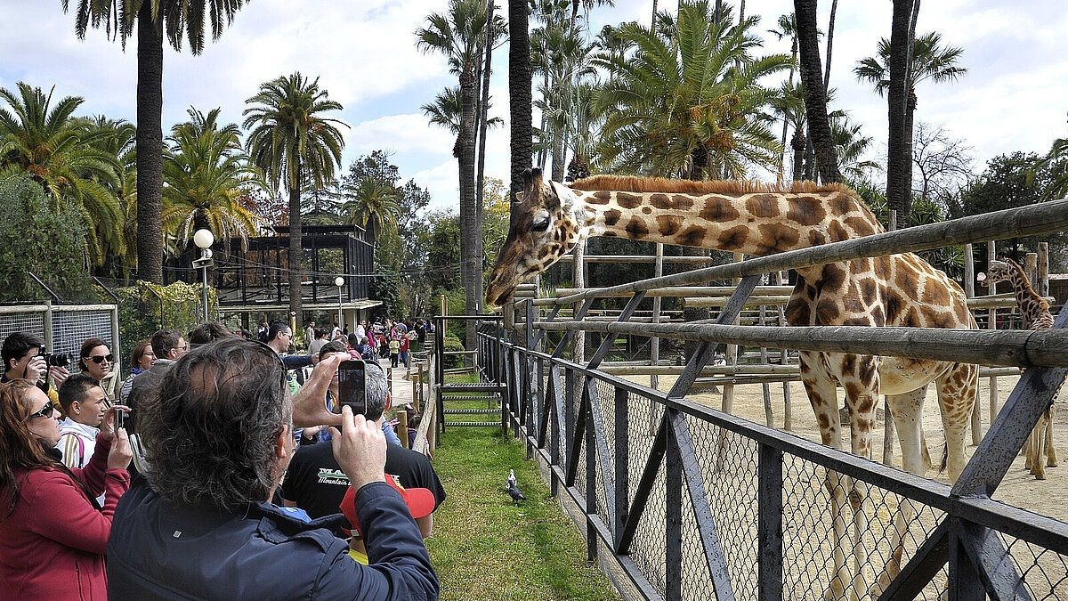 El Zoo de Jerez cierra tras detectarse dos casos de virus de la Fiebre del Nilo, uno de ellos en un águila fallecida