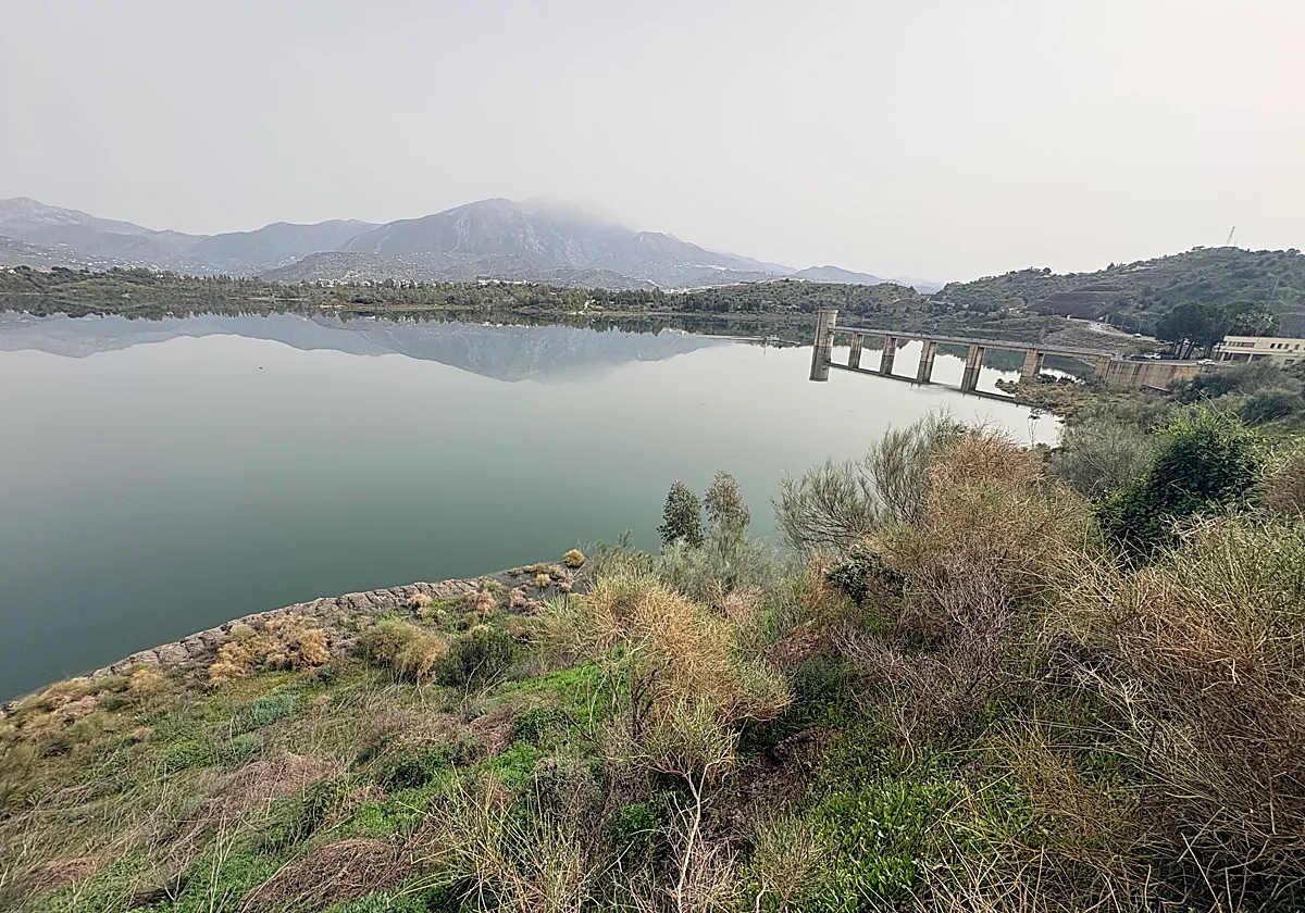 Más agua para los subtropicales: la Axarquía eleva a 16 hectómetros cúbicos el riego
