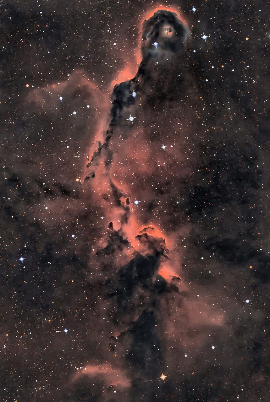 APOD: 2026 August 20 – The Elephant’s Trunk in Cepheus