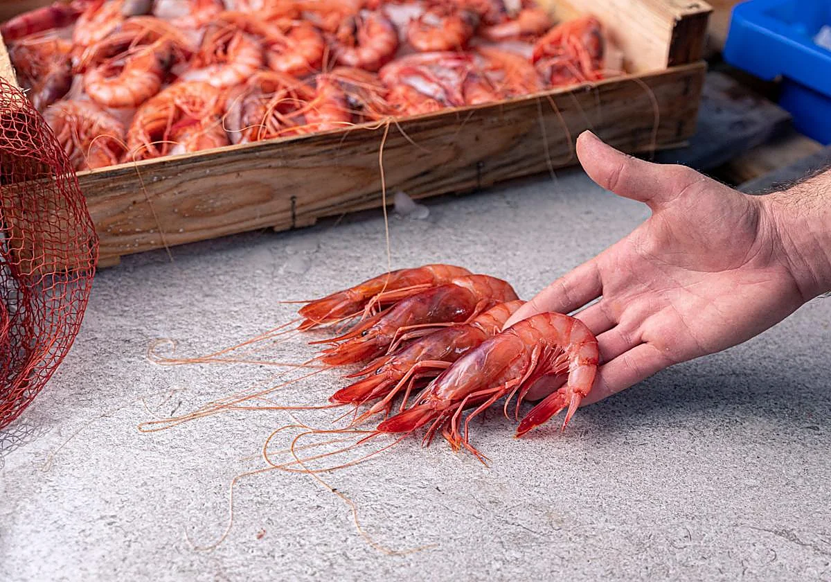 ¿Eres un experto comiendo gambas? Entonces no puedes perderte este original concurso