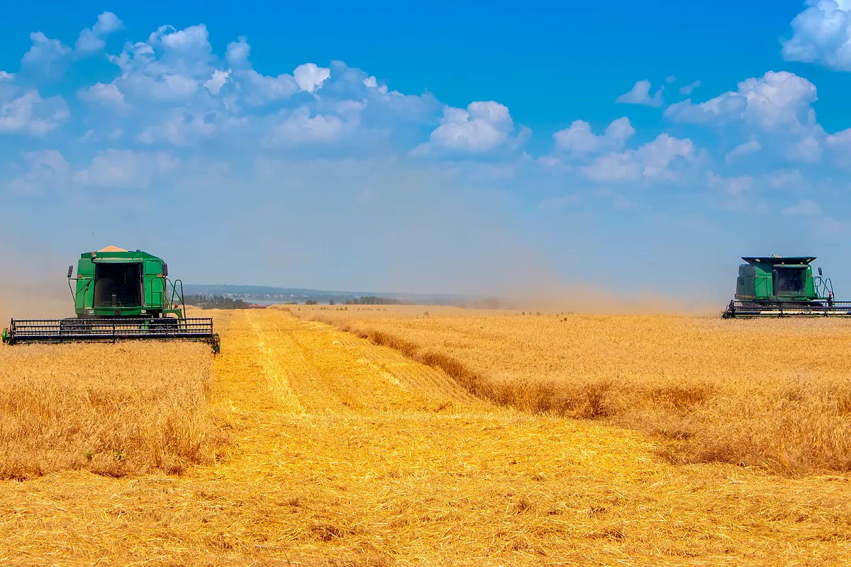 Los problemas de exportación por la guerra de Ucrania disparan los precios de los cereales