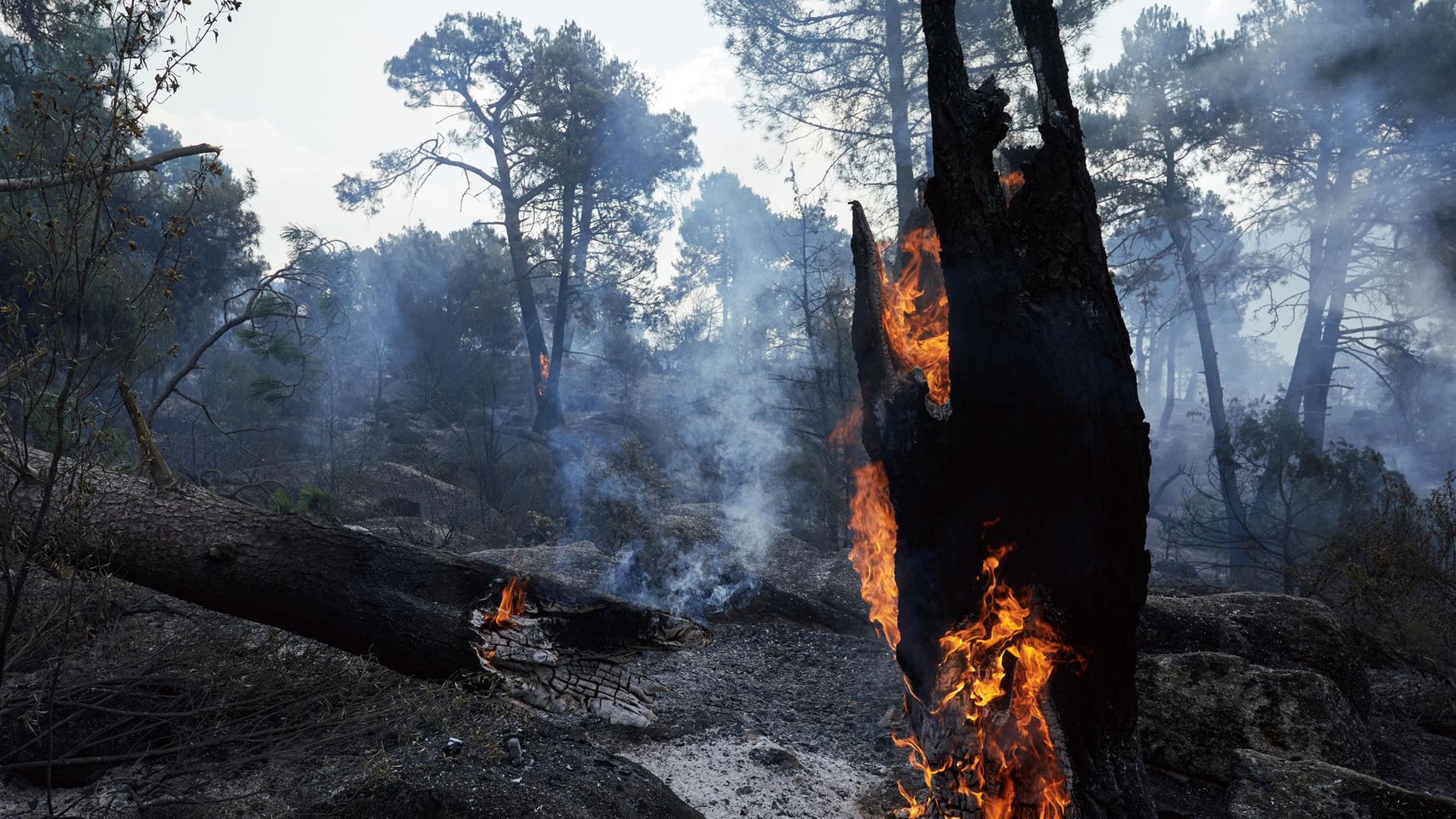 El incendio de Burgohondo deja 37.800 hectáreas afectadas provisionalmente: más de una vez y media la ciudad de Ávila