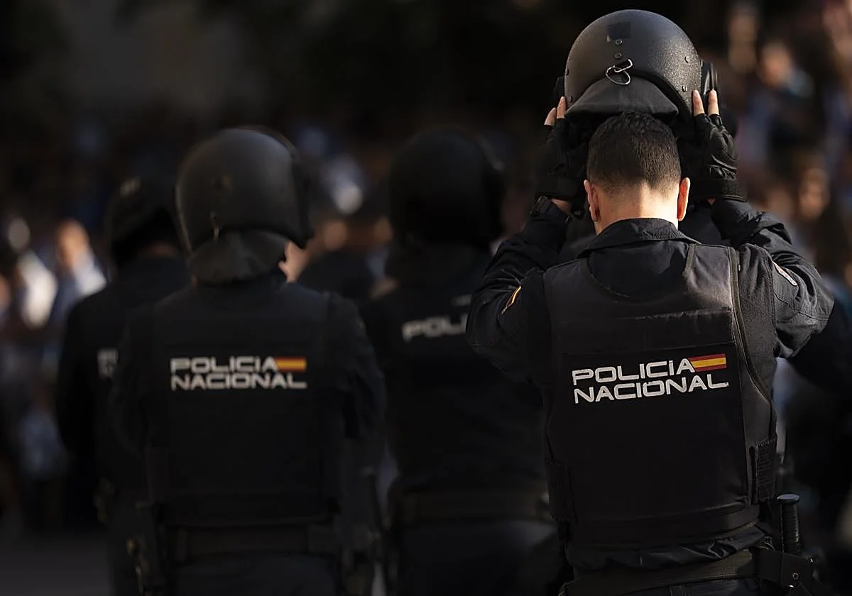 Cae en Marbella el líder de una organización dedicada a introducir grandes cantidades de droga en Europa
