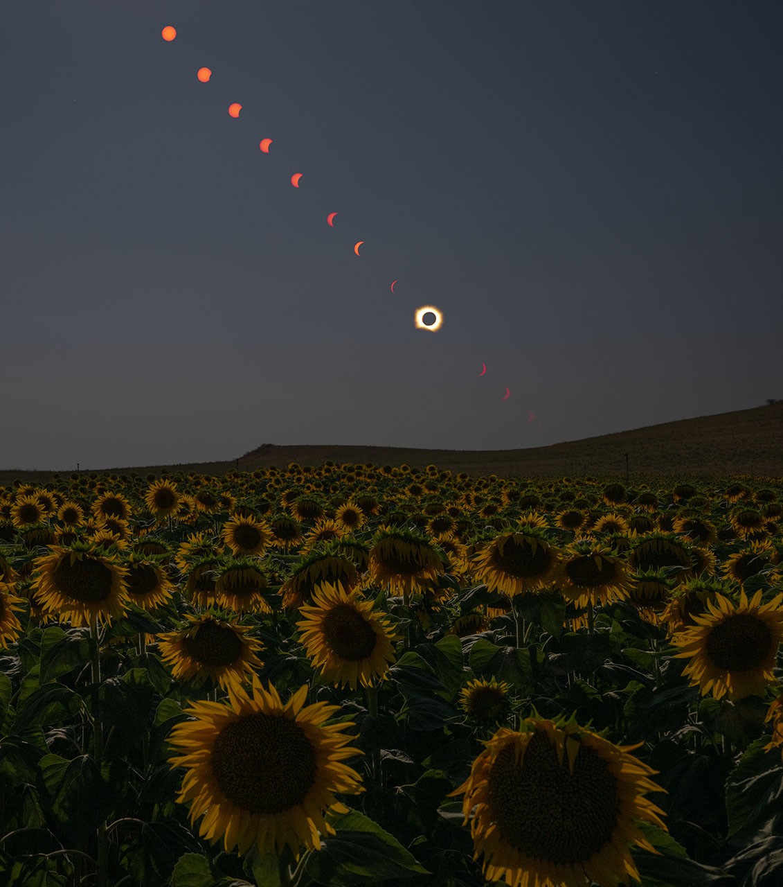 NASA Shares Views of August Solar Eclipse from Ground, Air, Space