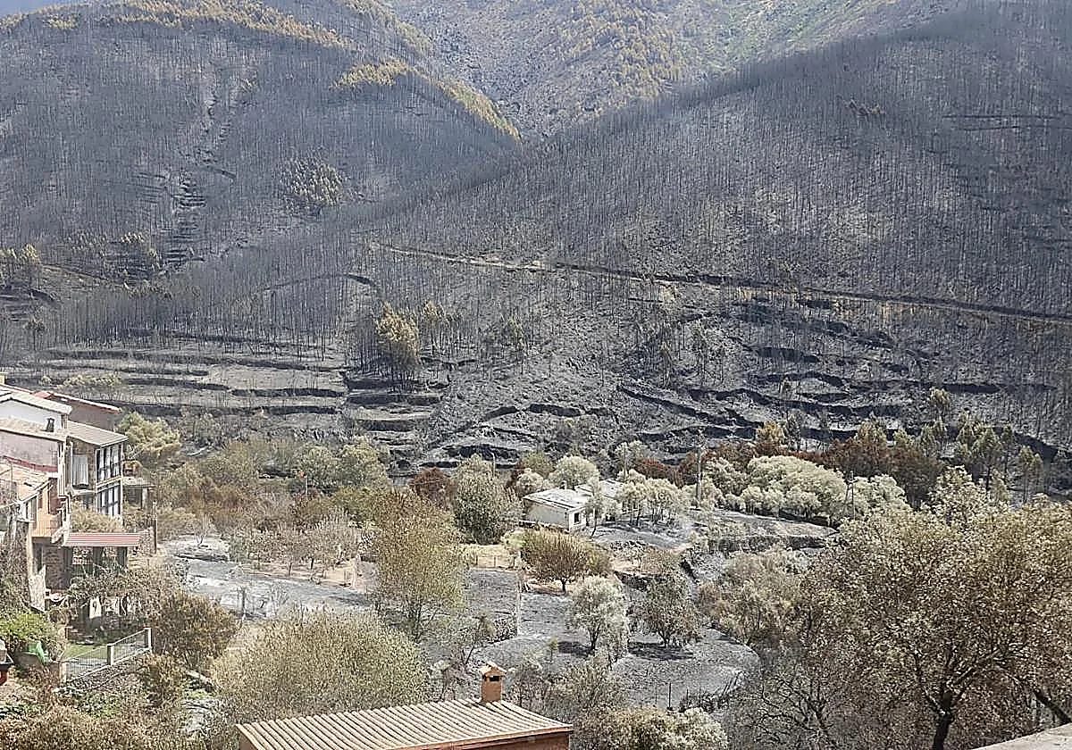 El Infoex rebaja la superficie quemada por el fuego en Las Hurdes a 3.765 hectáreas