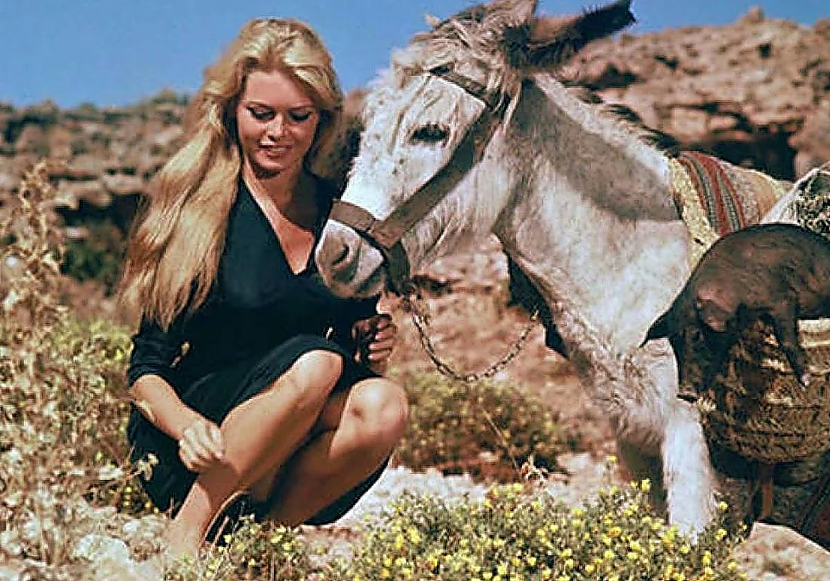 The time when Brigitte Bardot stayed at a Costa del Sol hotel with a donkey called Romeo