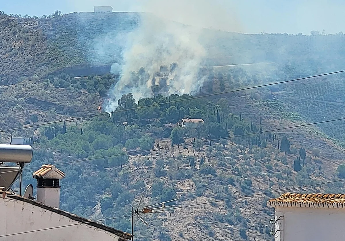 Controlado el incendio forestal en Macharaviaya