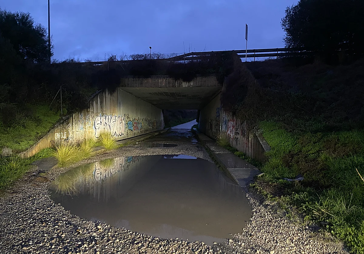 Vecinos de Camino Reinoso de Estepona piden al Ayuntamiento una solución al mal estado del firme