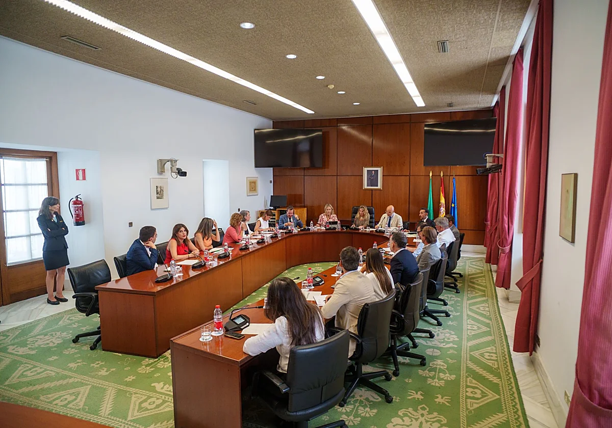 No habrá pleno monotemático por los incendios, pero el curso se iniciará con una comparecencia de Sanz