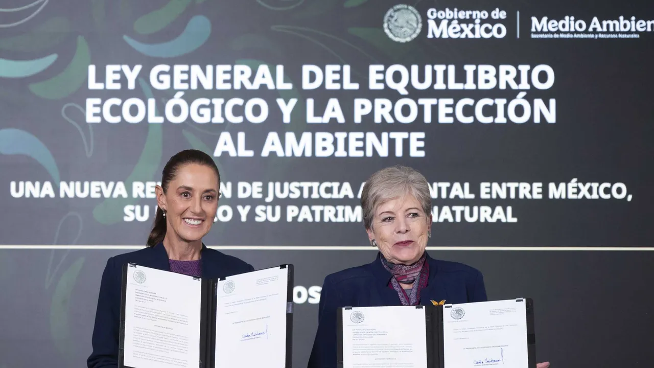 México quiere mejorar sus leyes ambientales tras casi cuatro décadas, pero los defensores exigen garantías
