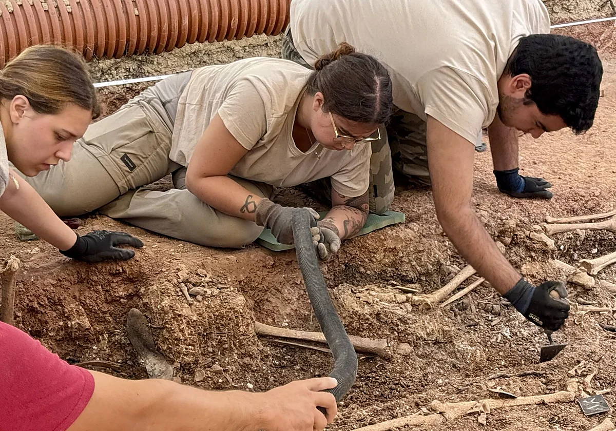 La segunda fosa de Campillos saca a la luz 22 víctimas: seis ya han sido exhumadas
