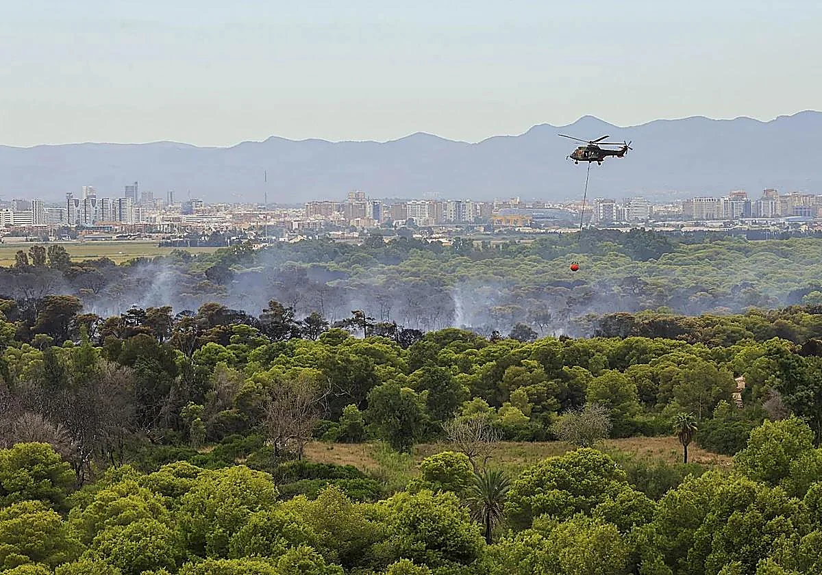 El Saler despierta de su pesadilla mientras sigue la búsqueda del pirómano