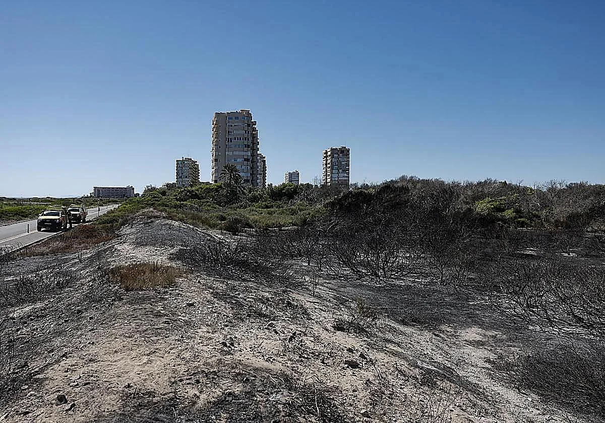 El incendio de El Saler, controlado tras arrasar 37 hectáreas