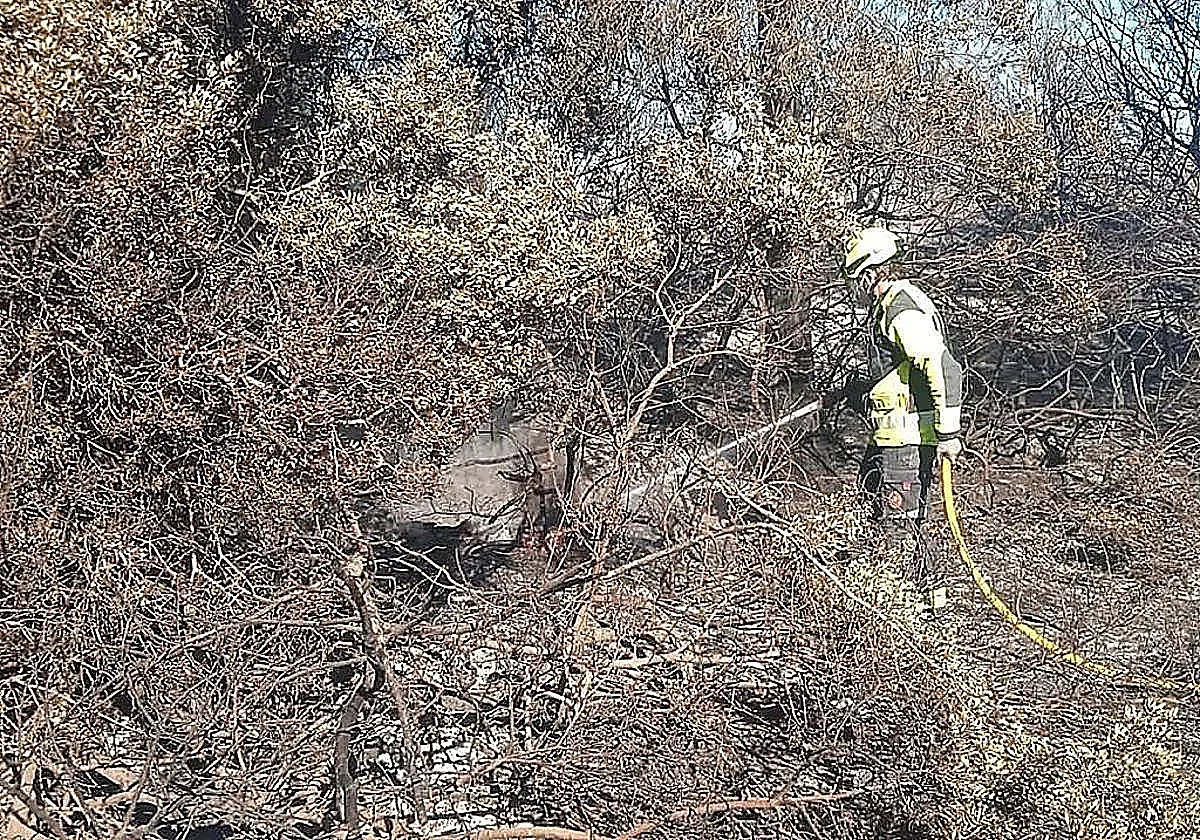 Valencia reabre este lunes la carretera y las playas del Saler tras el incendio