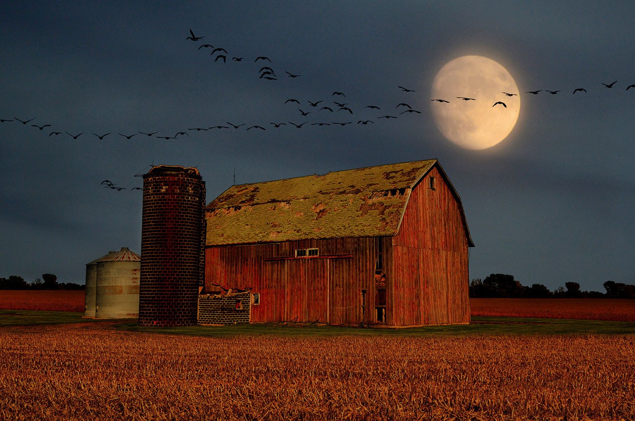 What’s Up: September 2026 Skywatching Tips from NASA