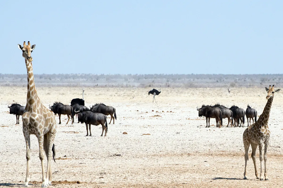La ONU alerta: el mundo está a punto de superar el límite de los 1,5ºC