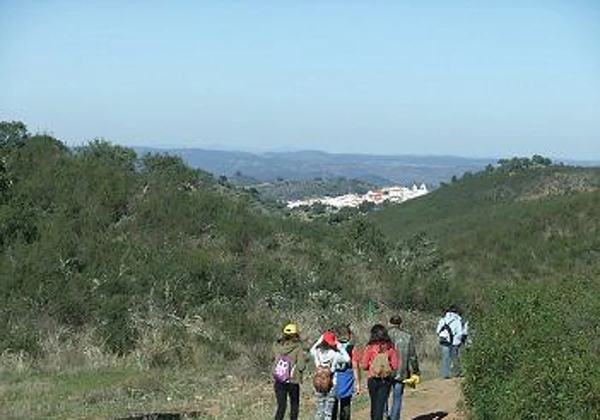 Más de siete millones para mantener 125 kilómetros de vías pecuarias en la provincia de Málaga