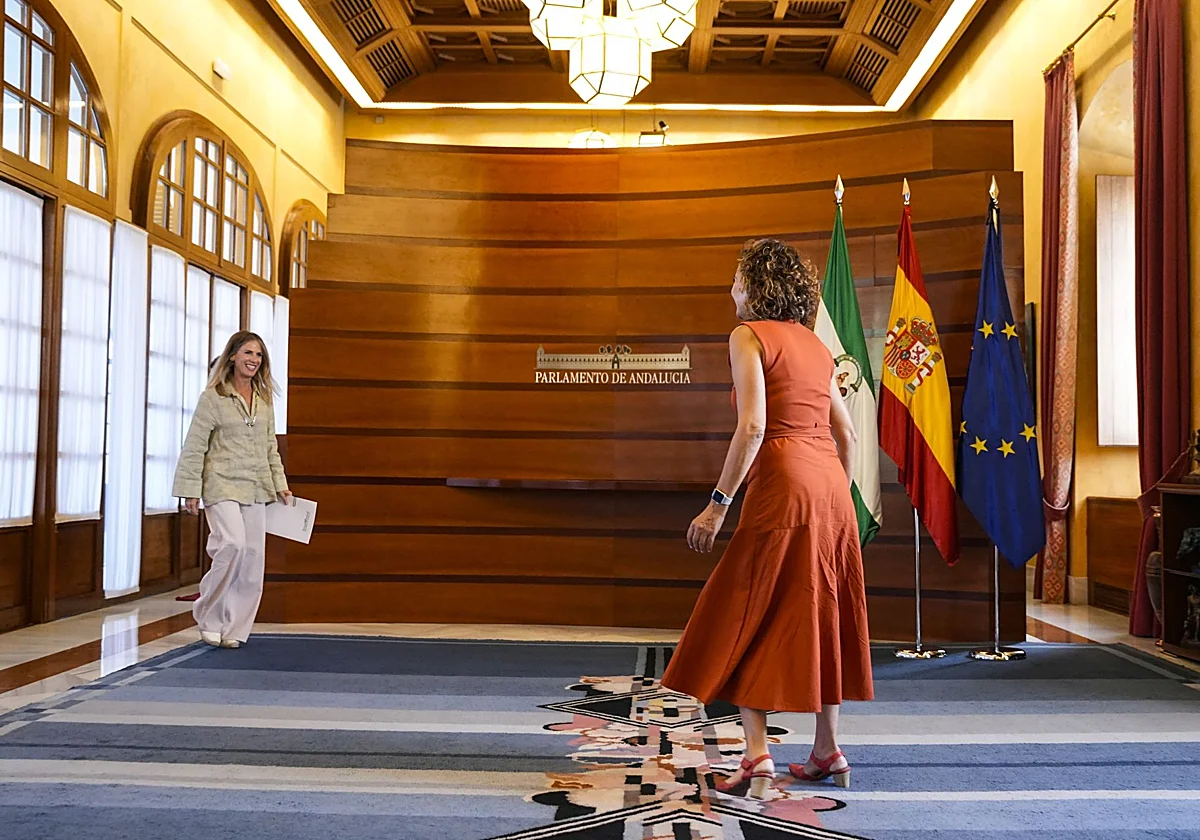 Un pegamento ineficaz retrasa las obras en el Parlamento