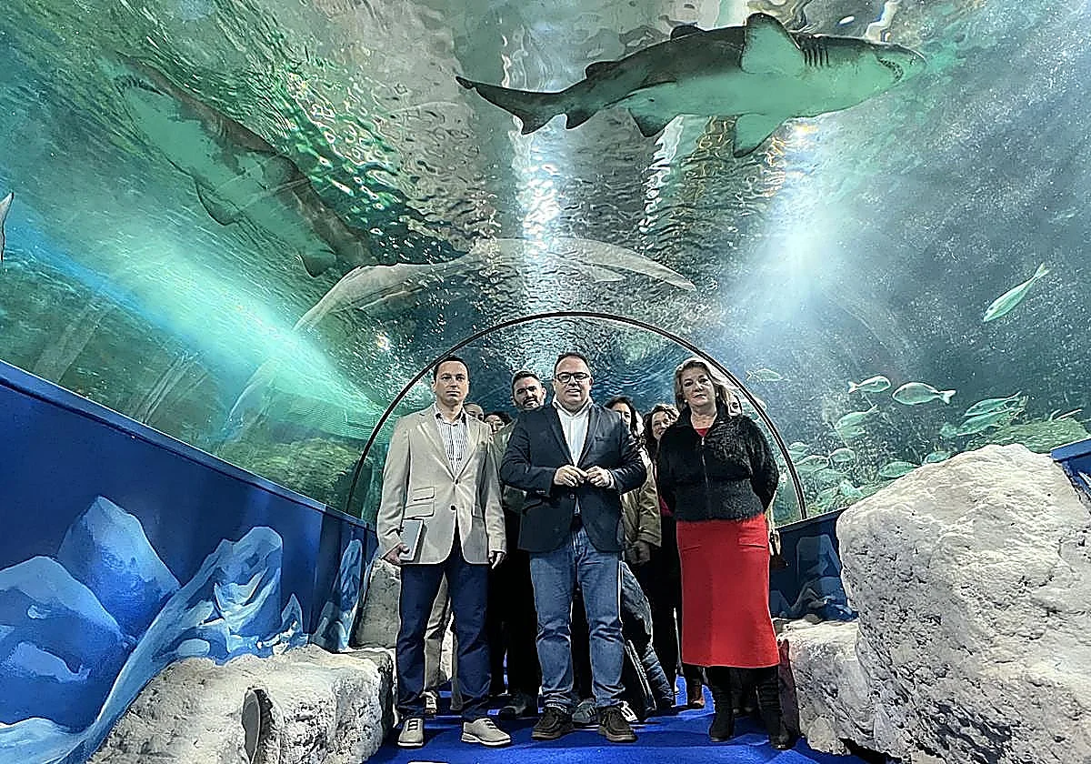 Costa Tropical's Mediterranean sea life aquarium reopens four years after closure