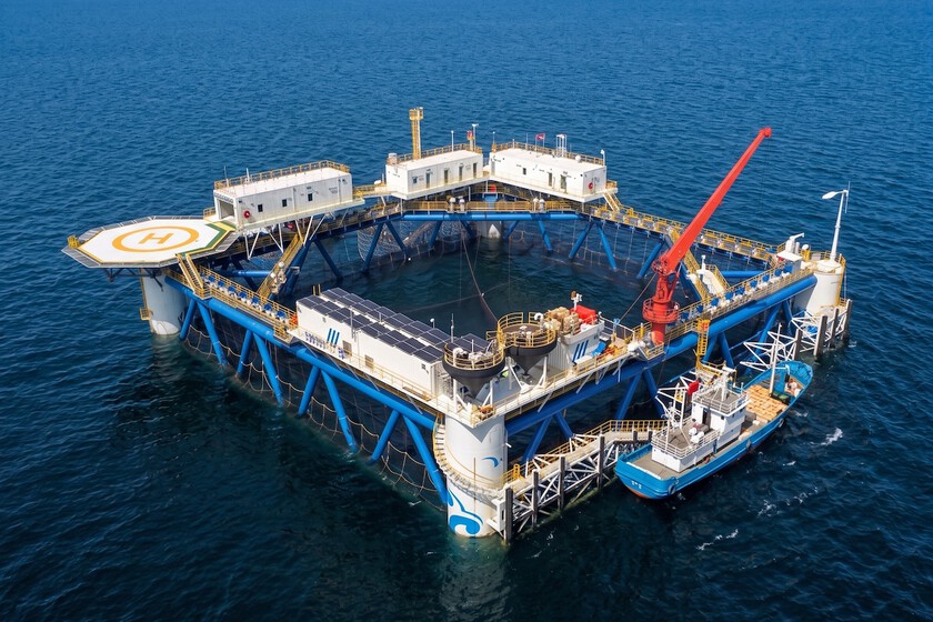 China ha construido una plataforma solar flotante de 100 kW en medio del mar con un material sorprendente: bambú