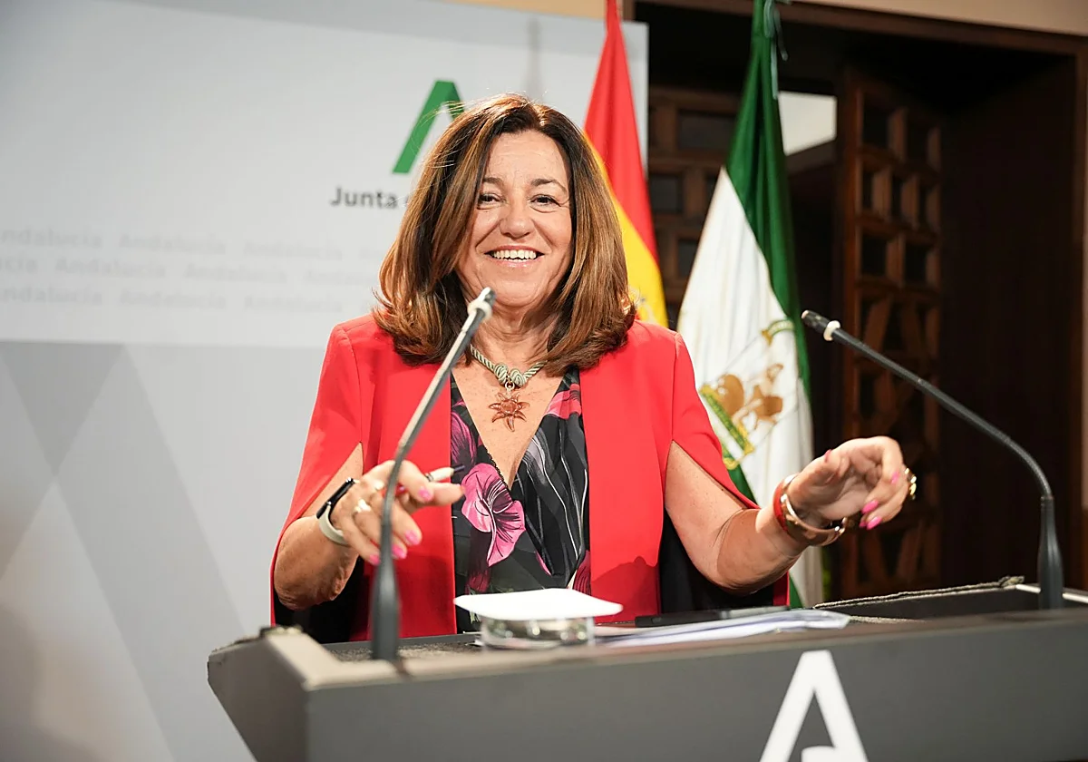 Andalucía pierde 30.000 alumnos por el desplome de la natalidad