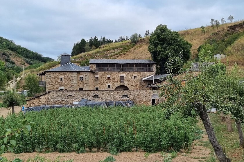 Una bodega de vino del siglo XVIII aparece escondida bajo una antigua granja de un priorato en El Bierzo