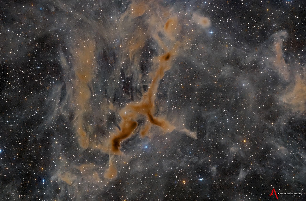 APOD: 2026 September 10 – LDN 1295: The Giraffe Nebula