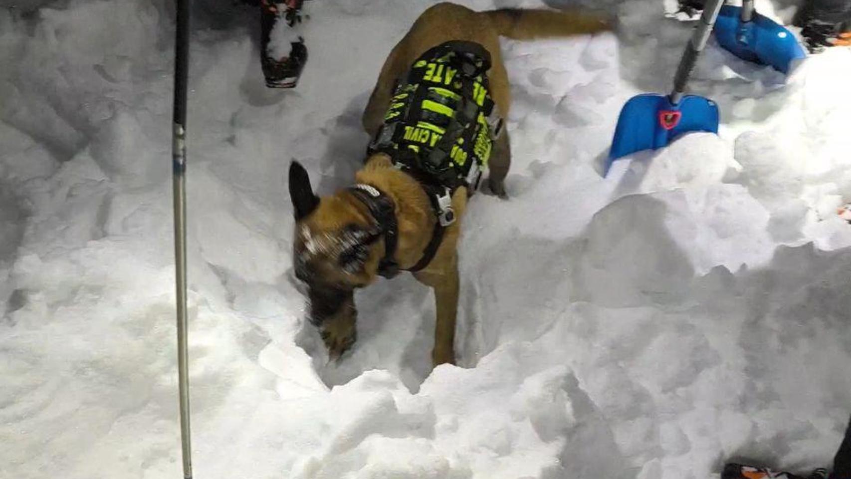 Muere el montañero atrapado en un alud en Bielsa (Huesca): el GREIM lo ha localizado sin vida