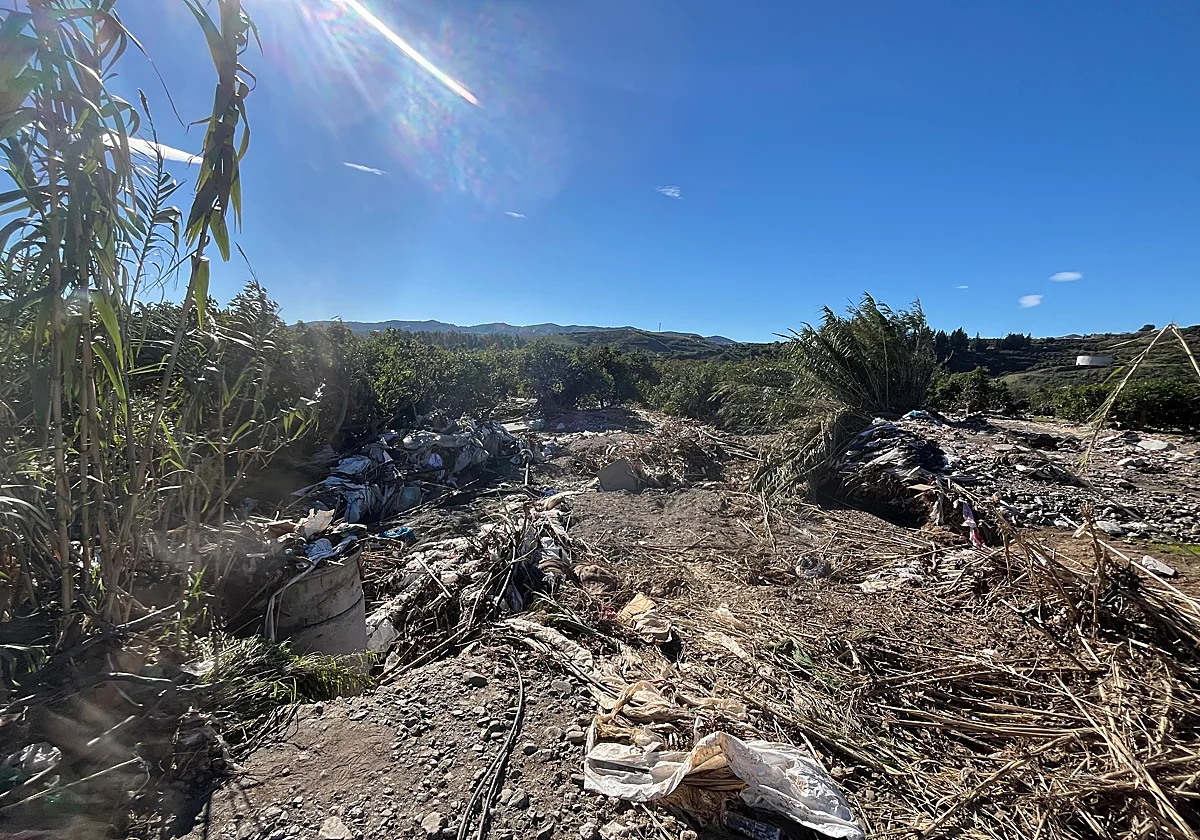 La Junta paga más de 2,1 millones en ayudas a agricultores malagueños por la sequía y las Danas
