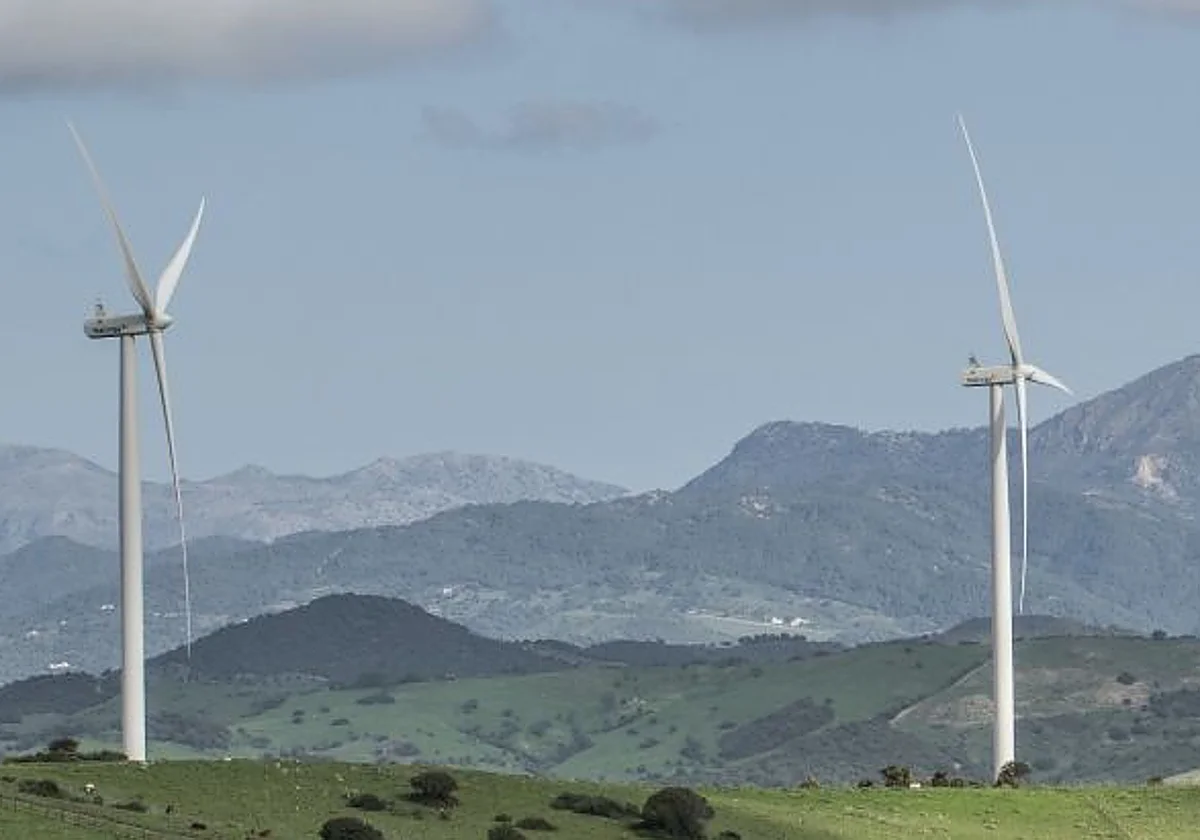 Un parque eólico de Málaga quitará 38 molinos, pero casi duplicará su producción eléctrica