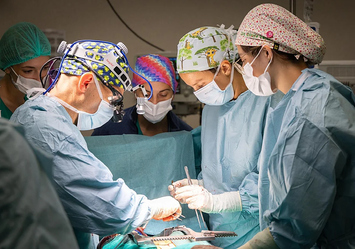 El Hospital Regional realiza nueve trasplantes en tan solo 72 horas: seis de riñón y tres de hígado