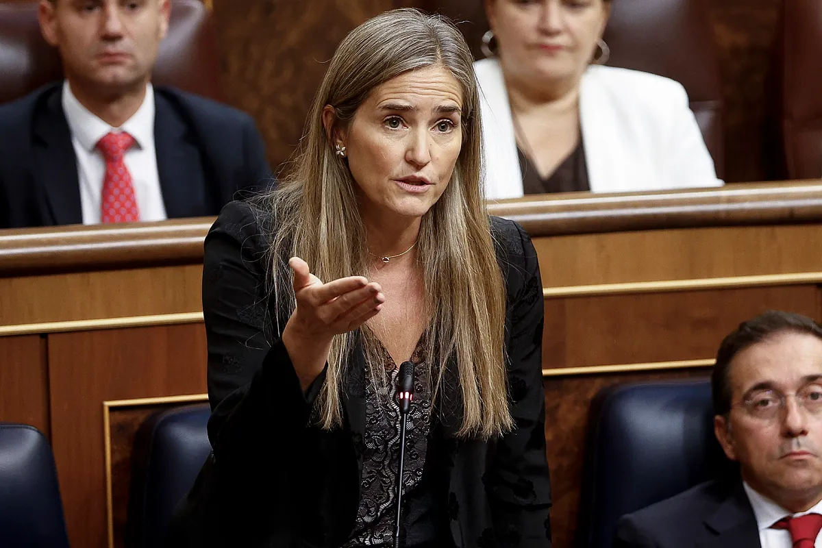 Plan de choque histórico en REE para evitar que la red de luz colapse