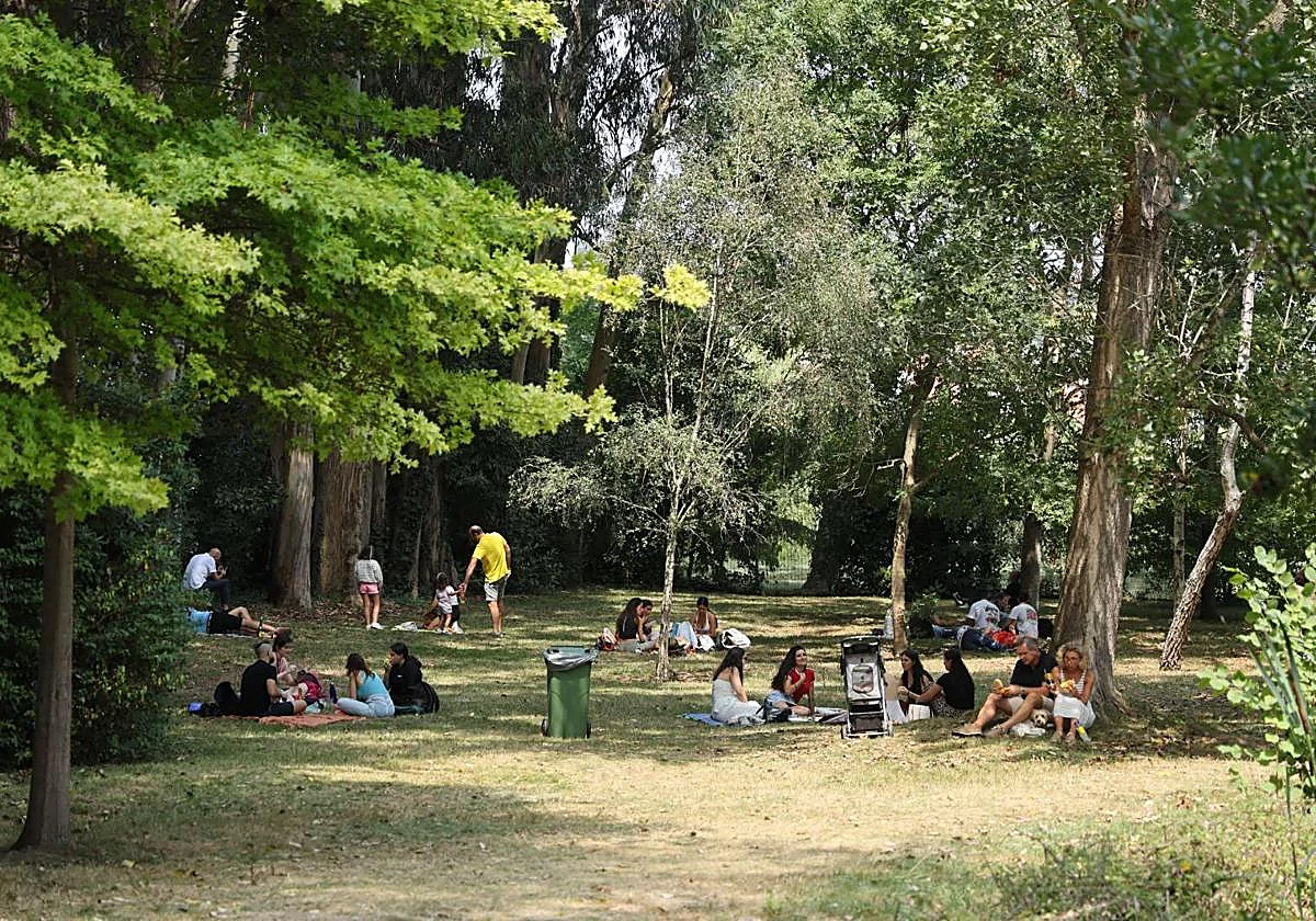 Sombra de árbol