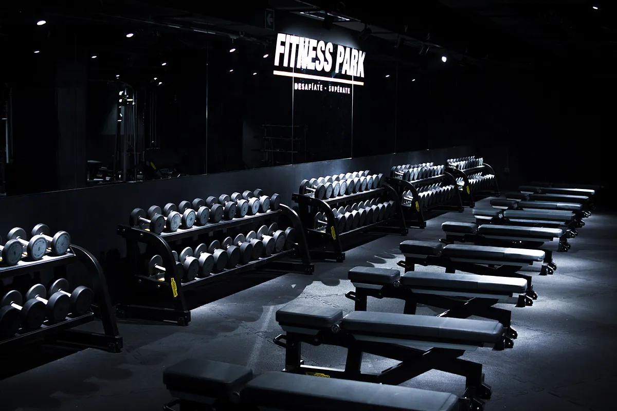 El dueño de VivaGym ofrece cerca de 600 millones por Fitness Park