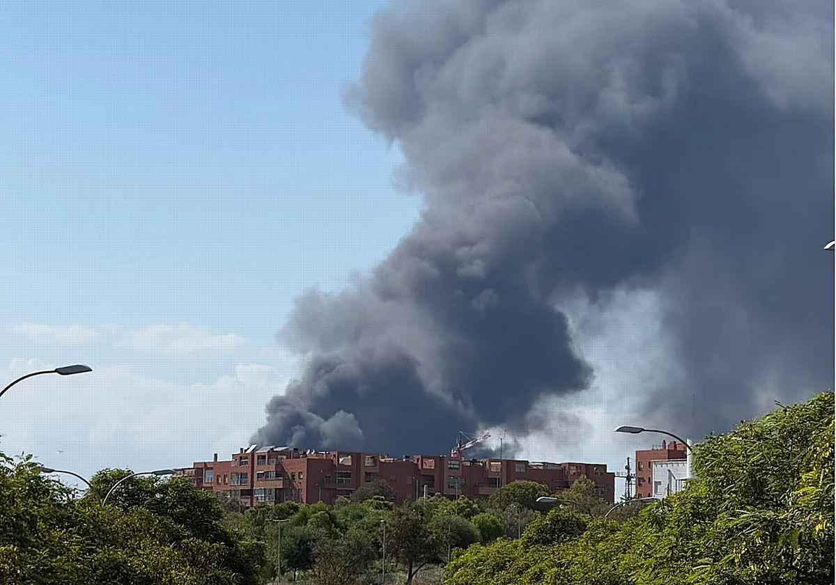 Alarma por una gran columna de humo en Málaga: se incendia el desguace de Los Asperones