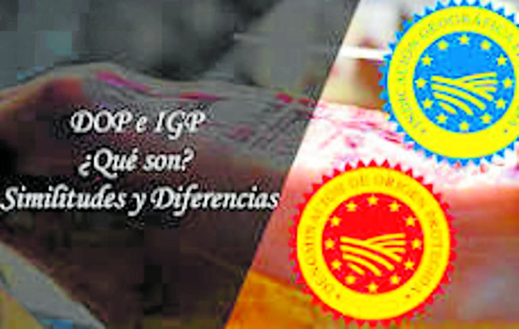 Diferencias y similitudes entre una D.O.P e I.G.P
