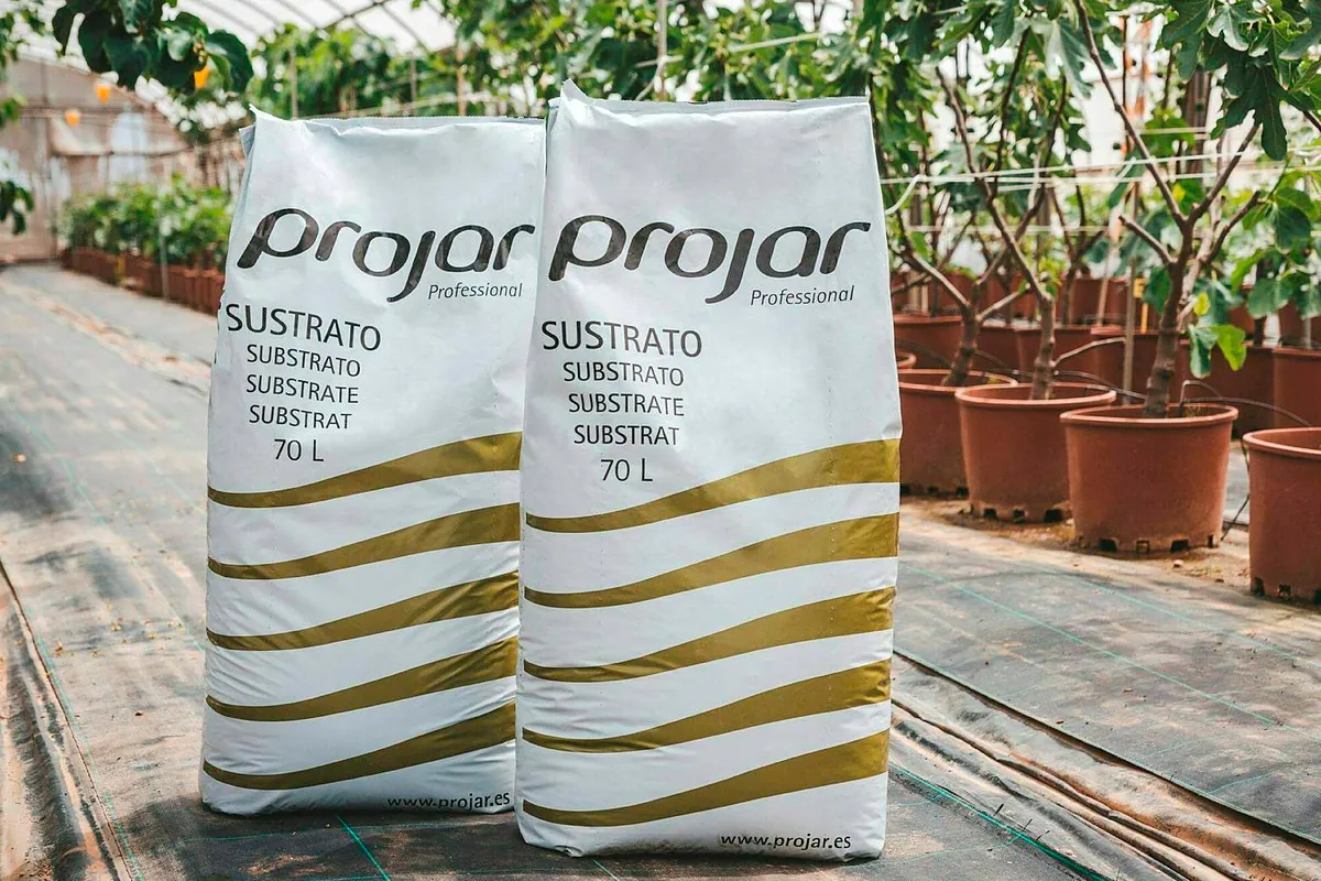El fondo agrícola de Harvard negocia la compra de Projar