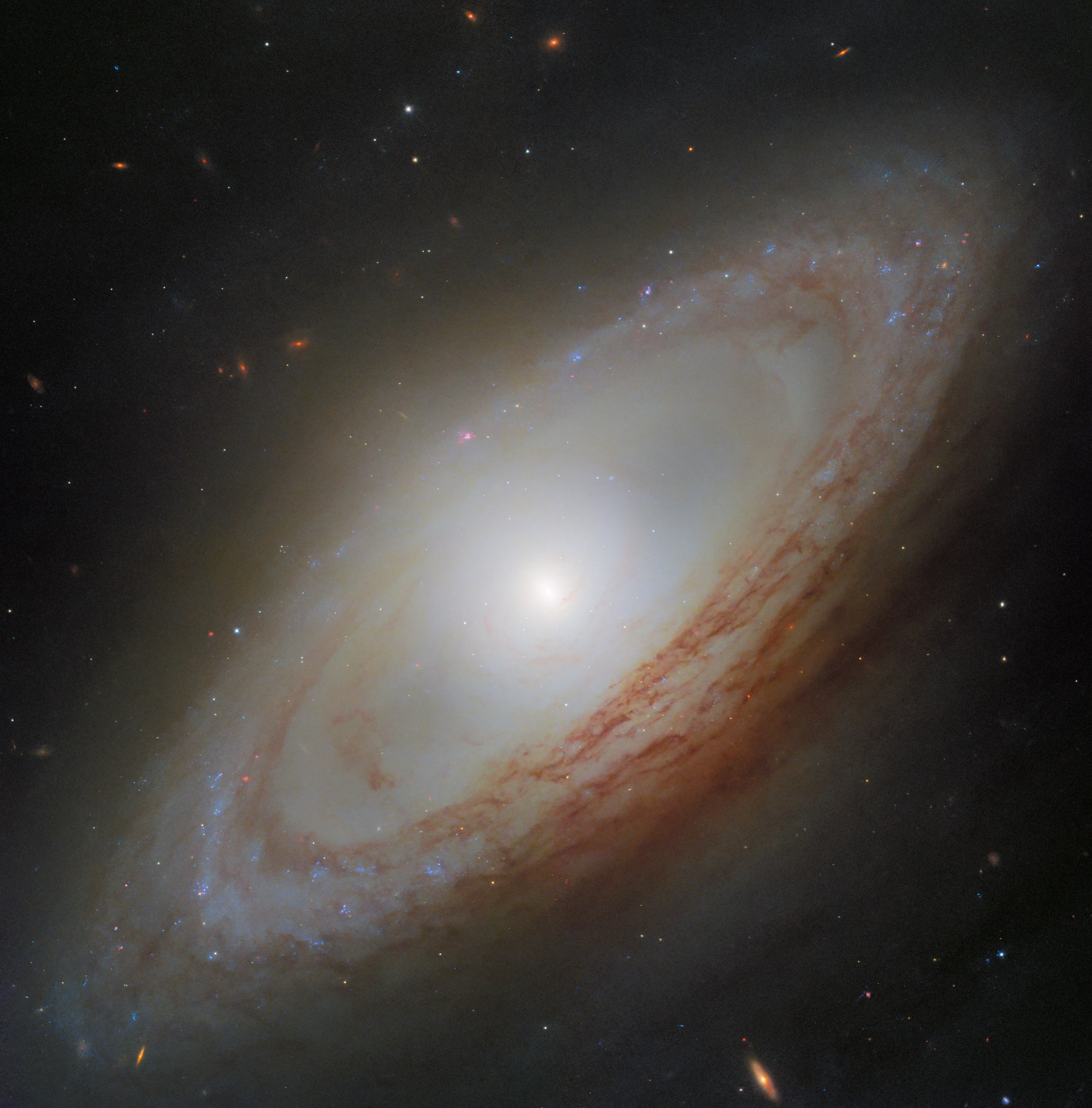 NASA’s Hubble Spots an Out-of-Sync Galaxy