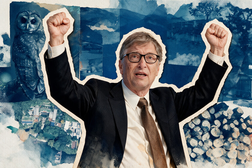 Bill Gates necesitaba talar cientos de árboles centenarios para hacer su mansión. Encontró un enemigo inesperado: el búho moteado