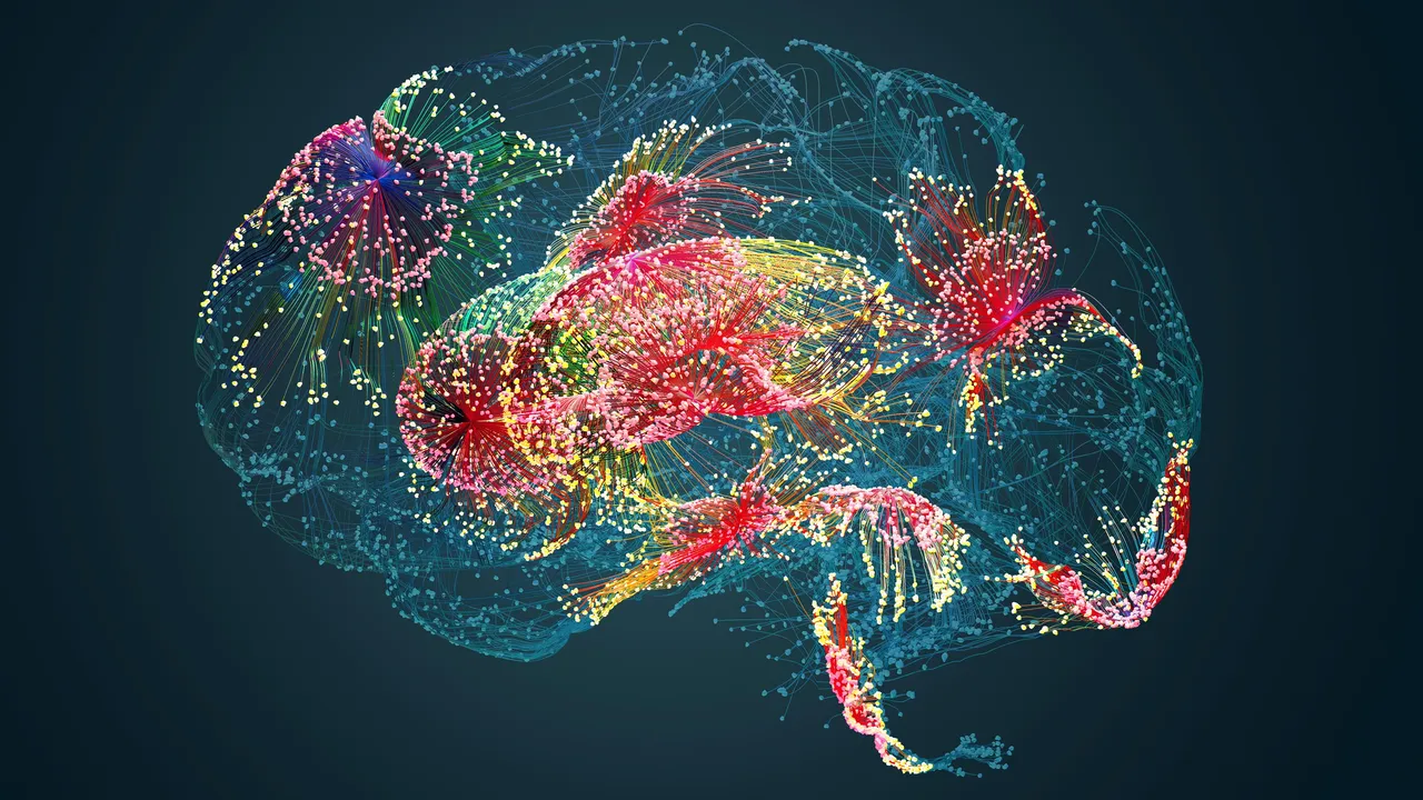 Tu cerebro es resultado de dos grupos de células distintas, y no solo de uno como se creía