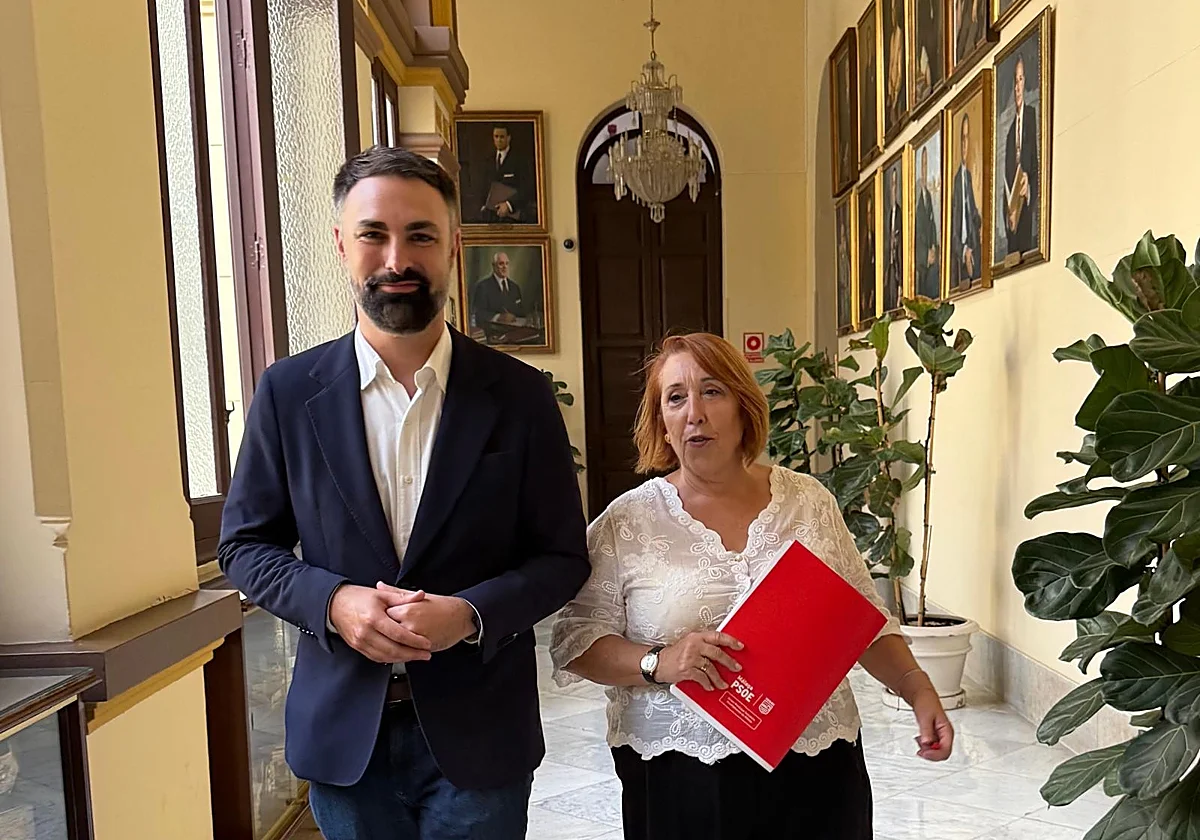 Los socialistas quieren más rapidez en Málaga: piden en el pleno una aceleradora de VPO