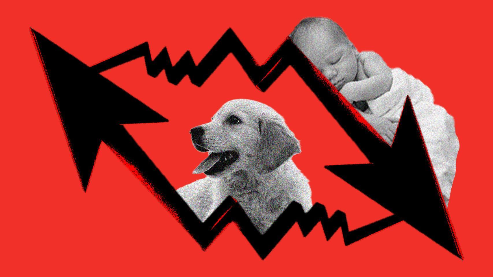 España, país de perros: suma 9,5 millones de canes frente a 6,6 millones de niños y cada vez nacen menos bebés