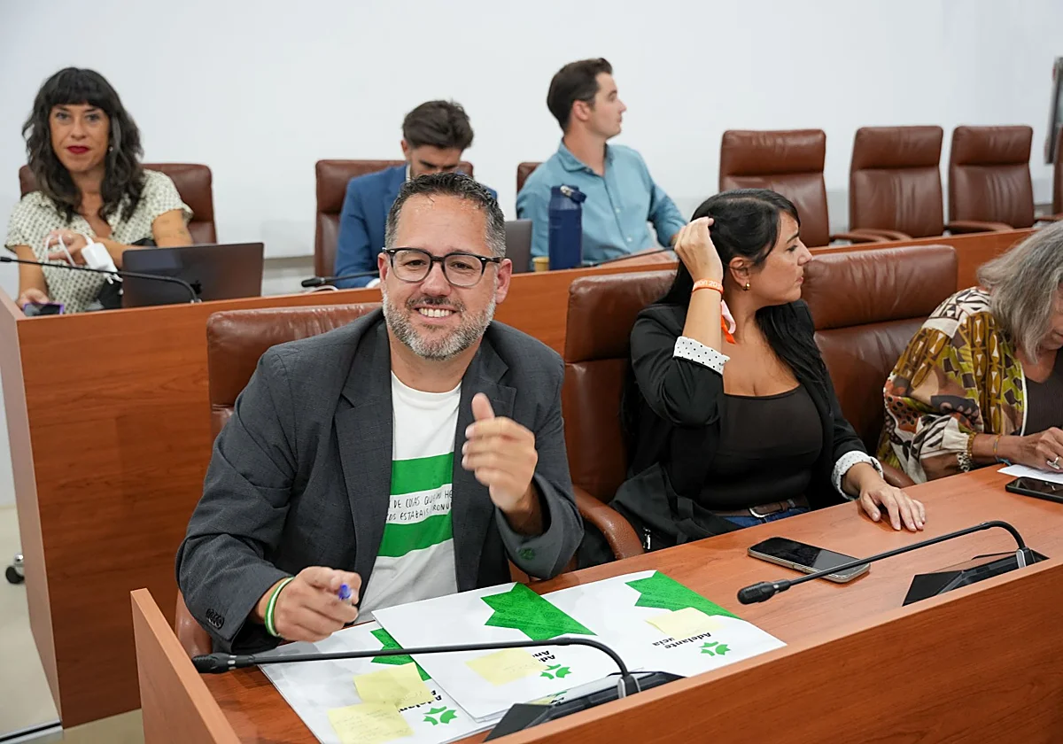 Adelante Andalucía buscará sitio en el Congreso con listas en las ocho provincias