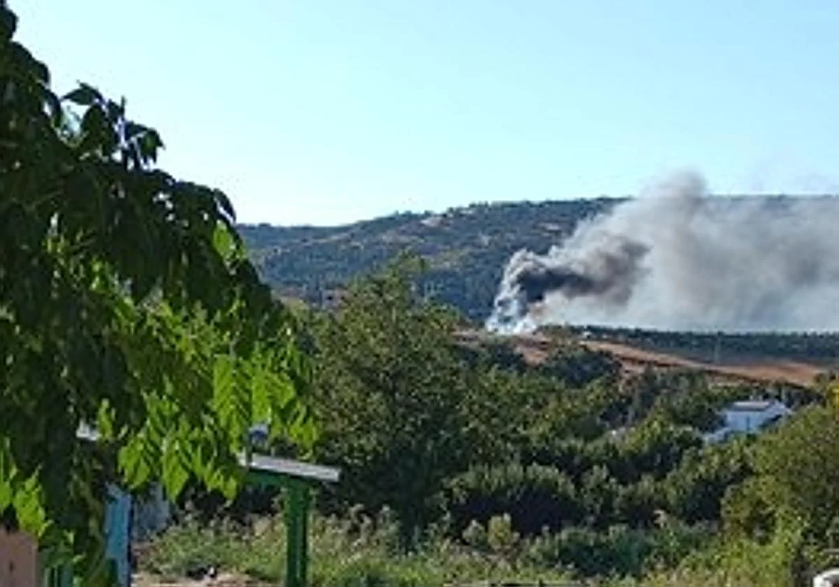Efectivos aéreos y terrestres trabajan en un incendio forestal declarado en Ronda