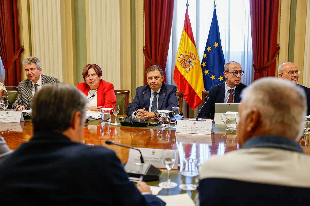 El dilema con la rebaja fiscal en carburantes