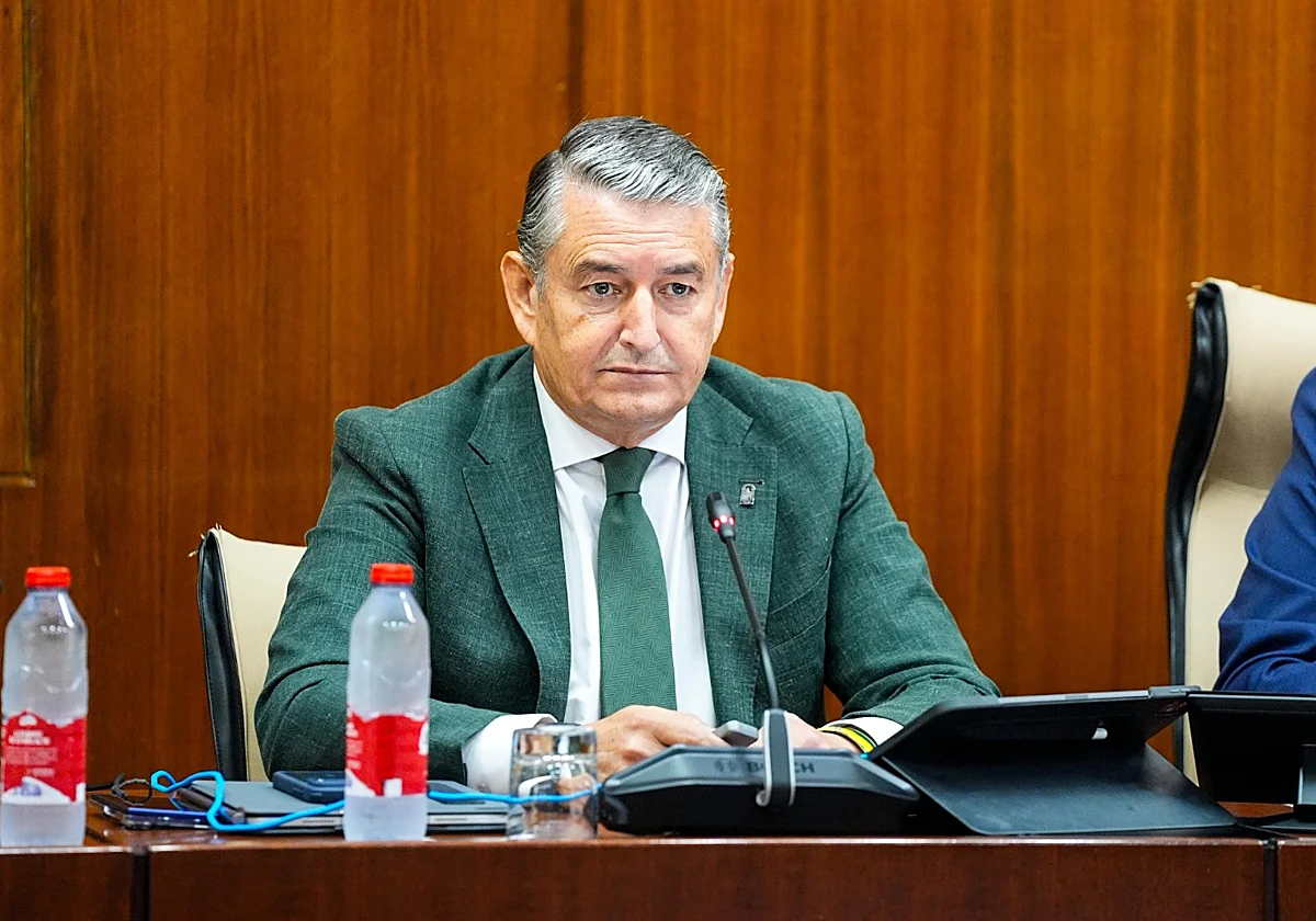 Andalucía adelanta el 'escudo' contra el invierno: la vacunación contra la gripe empieza el 1 de octubre
