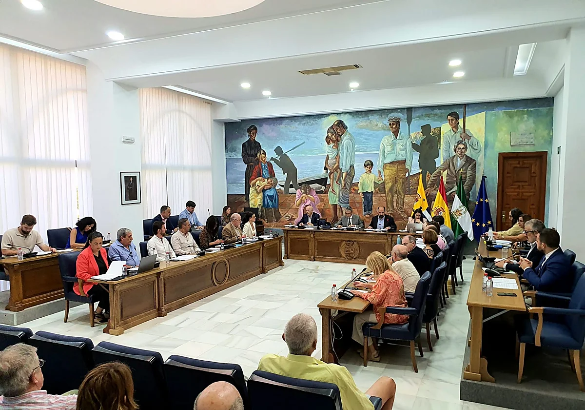 El pleno de Rincón de la Victoria reclama la llegada del Metro como prolongación de la línea hacia El Palo