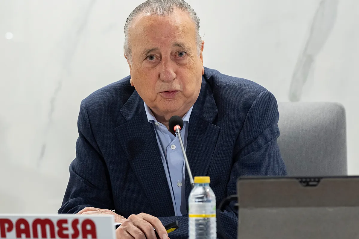 Fernando Roig, absuelto de falsedad documental tras recurrir la primera sentencia