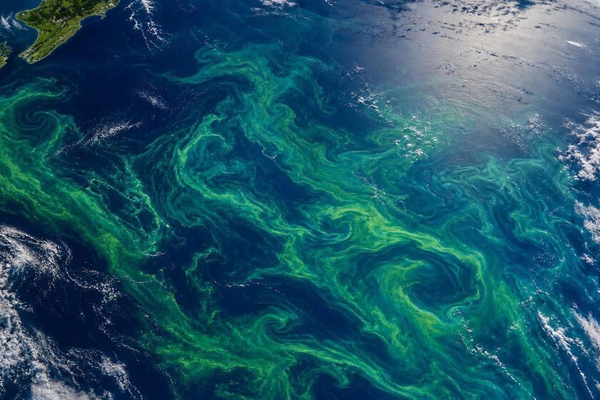 La NASA ha detectado una mancha verde gigante desde el espacio en Nueva Zelanda. Y no es contaminación ni un fallo de imagen