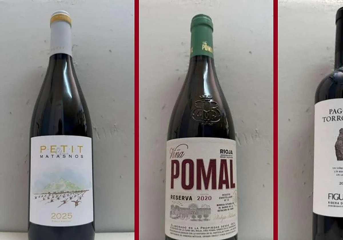 La cata: los vinos recomendados en la cuarta semana de septiembre